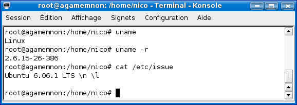 uname.png (18560 octets)