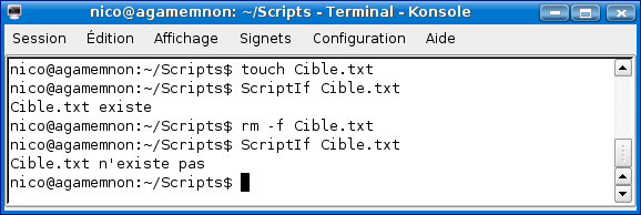 capture1.png (13045 octets)