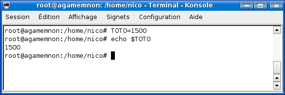 capture3.png (15134 octets)