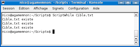 capture8.png (10792 octets)