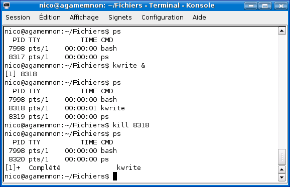 capture4.png (26656 octets)