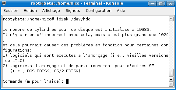 fdisk01.png (31275 octets)