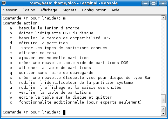 fdisk02.png (42858 octets)