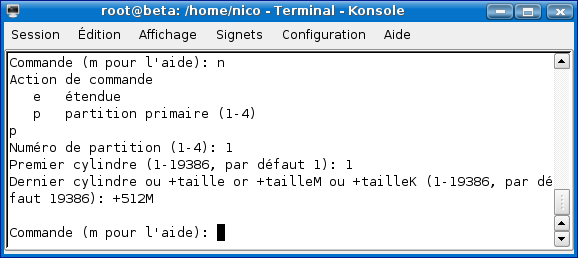 fdisk03.png (25964 octets)