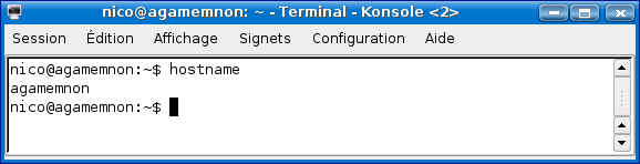 hostname.png (11777 octets)
