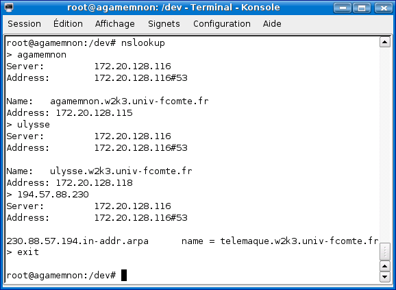 nslookup.png (33020 octets)