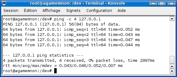 ping01.png (29983 octets)