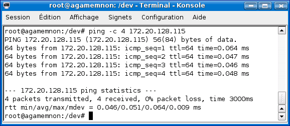 ping02.png (30814 octets)